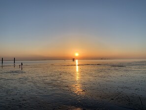 Beach nearby, sun loungers