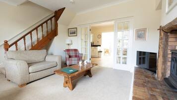 Télévision, cheminée, livres, espaces bureaux