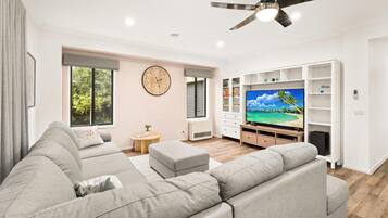 TV, fireplace, books