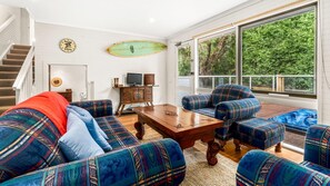 TV, fireplace, DVD player, books