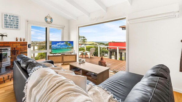 TV, fireplace, DVD player, books