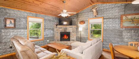 Smart TV, fireplace, books