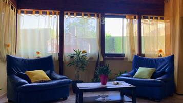 Fernseher, Stereoanlage