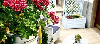 A casucc appointment in Peschici