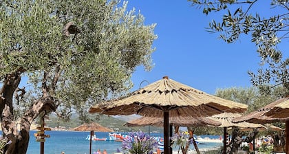 Villa Oliwa