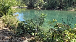 A natural landscape with a clear body of water surrounded by dense greenery and trees.