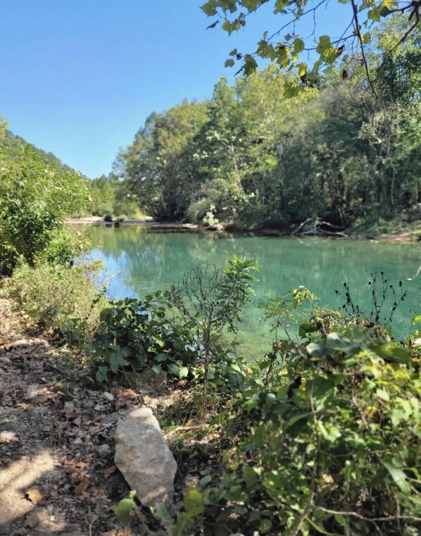 Unclassified image, 1 of 10, button