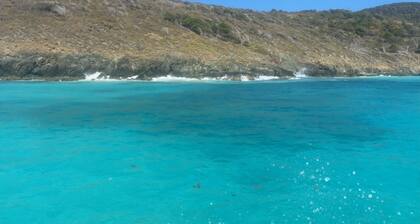 Pirate's Cove STJ 🏴☠️15 minute walk to town and newly remodeled king 1 bdrm, AC🏝🏴☠️