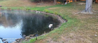 Come stay with us! You'll love it! Secluded, private, quiet & relaxing...