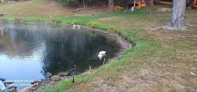 Come stay with us! You'll love it! Secluded, private, quiet & relaxing...