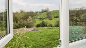 A view through a window of a green field with trees and a hill in the distance. - Gerry's Place (Church Stretton)
