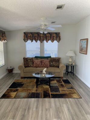 Smart TV, fireplace, printers