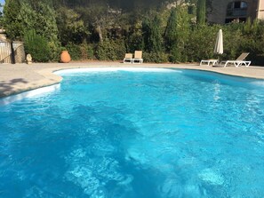 A swimming pool with clear blue water, surrounded by greenery and a wooden fence.