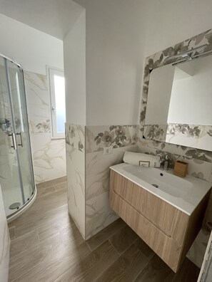 Shower, hair dryer, bidet, towels