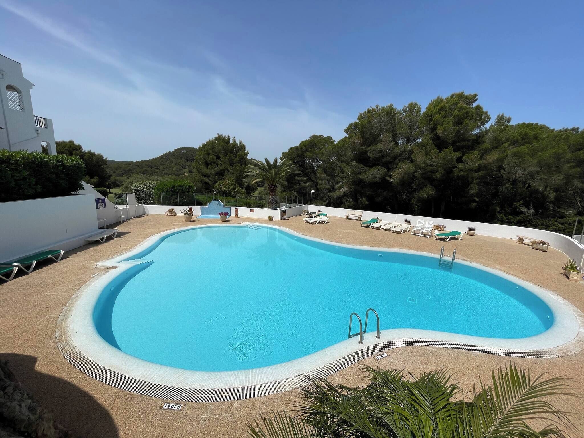 Une piscine dotée d’une terrasse blanche, entourée de chaises longues et de plantes en pot.
