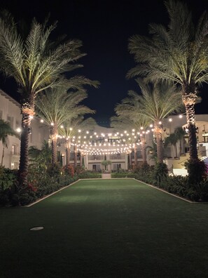 A courtyard with palm trees and string lights.