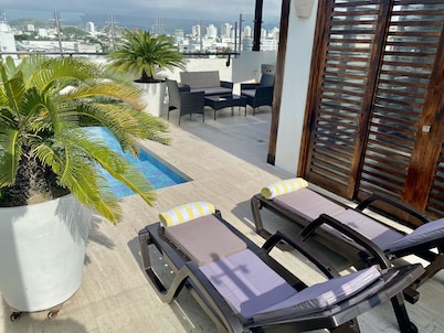 Beautiful Executive Penthouse