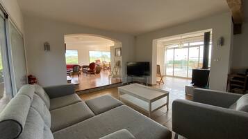 Televisie, een open haard en boeken