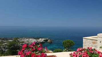 A coastal view with a stone wall and vibrant pink flowers in the foreground.