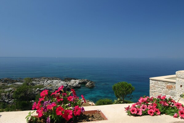 Vista costera con un muro de piedra y vibrantes flores rosadas al frente.