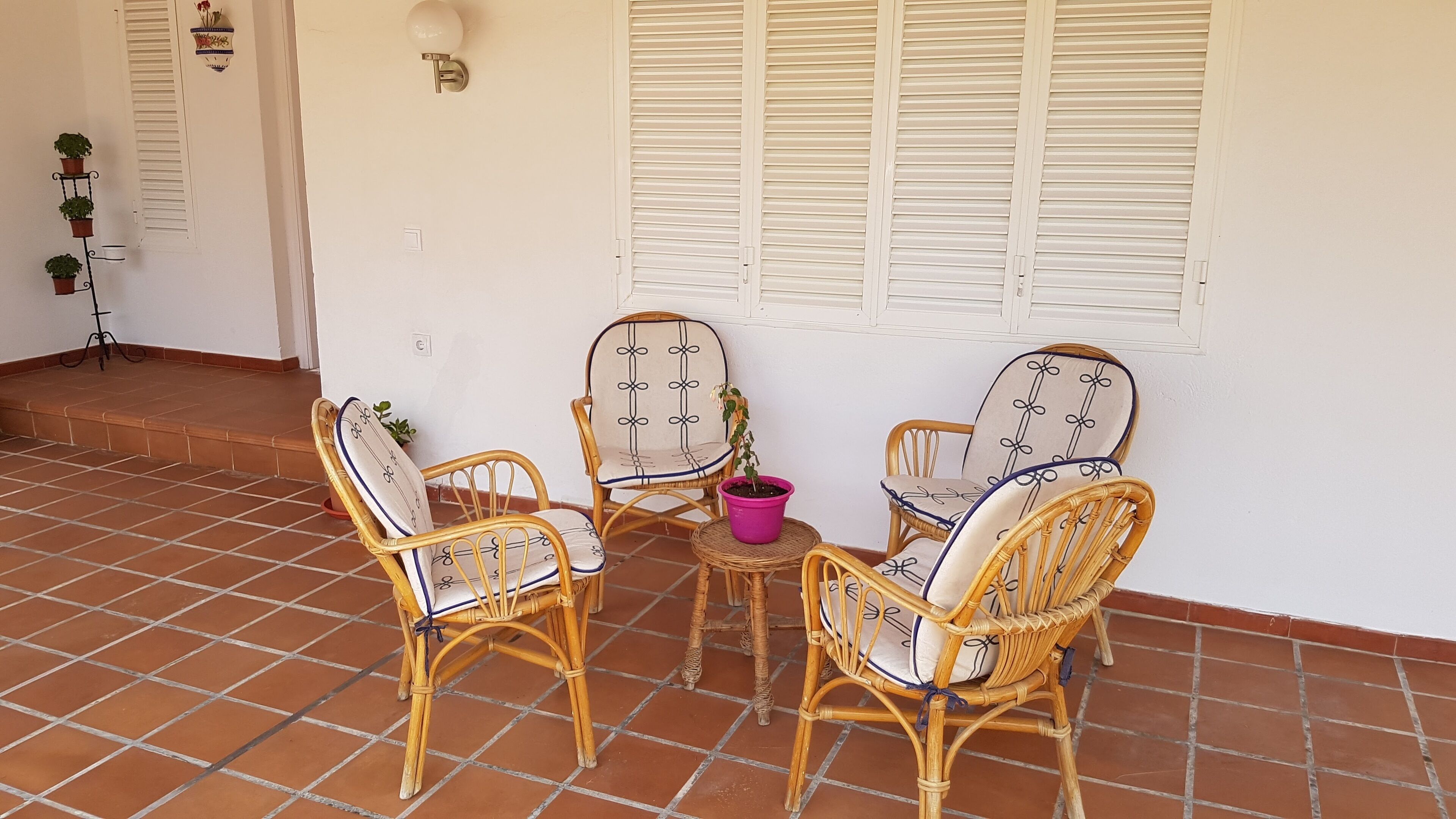 Een terras met rieten stoelen, een tafeltje en planten in potten.