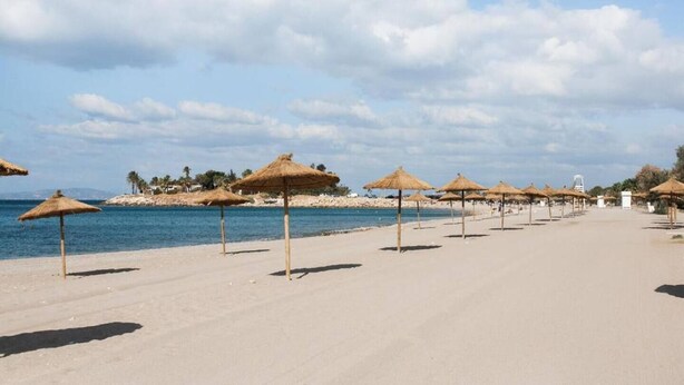A beach with rows of thatched umbrellas and a clear view of the sea.