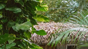 Exterior - Norte Nosara (Nosara)