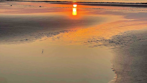 A beach scene with a sunset, calm water, and a bird in the sky. - Coastal Cottage/The Kindness Cottage (Jekyll Island)