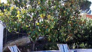 A patio area with two striped lounge chairs and a small table, surrounded by a tree and a stone wall. - Cozy villa in the heart of the Luberon (Apt)