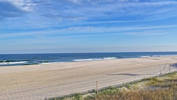 Playa en los alrededores, camastros y toallas de playa