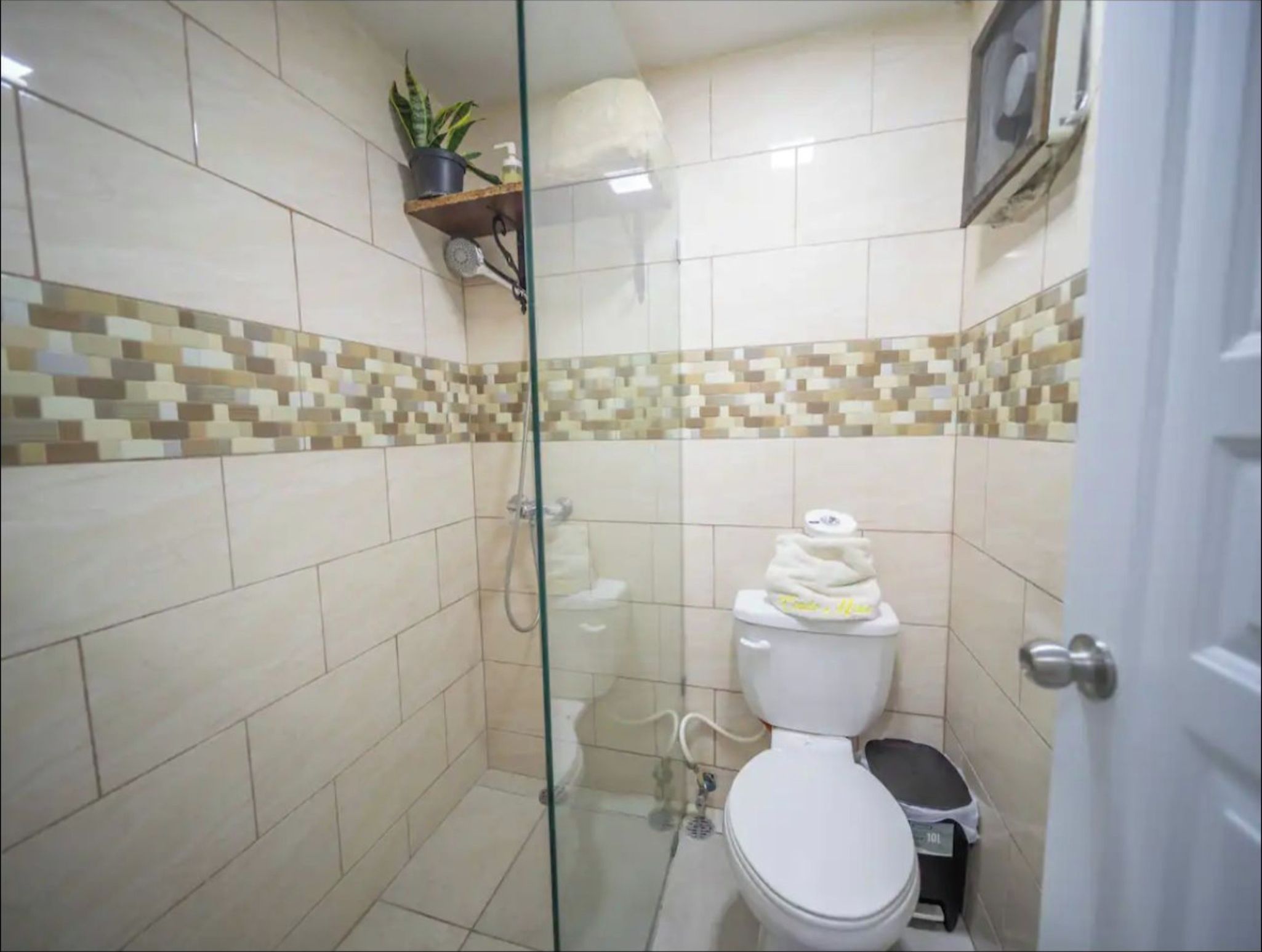Une petite salle de bain carrelée, équipée d’une douche, de toilettes et d’une étagère où sont posés une plante et des articles de toilette.