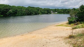 A lakeside view with a sandy beach, dense greenery, and a building in the distance.