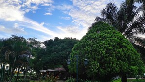 A lush garden with a large tree, a gazebo, and a building with a tiled roof. - Hotel Campestre La Potra (Villavicencio)