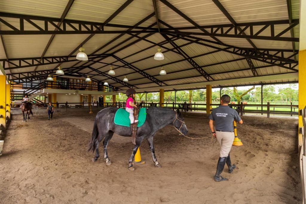 Una pista de equitación interior con un caballo y jinete, una persona guiando al caballo, y un área exterior cercada visible a través de las ventanas.