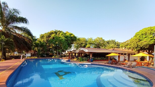 A swimming pool with a palm tree and lounge chairs. - Hotel Campestre La Potra (Villavicencio)