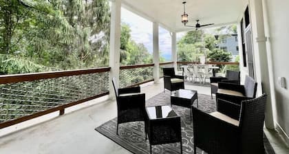 Luxury Historic 4-Bedroom Retreat in North Asheville – Hot Tub & Mountain Views