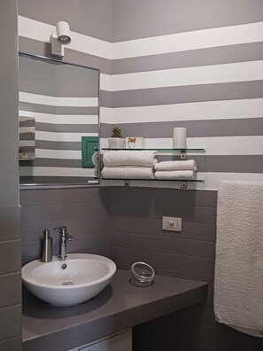 Shower, hair dryer, bidet, towels