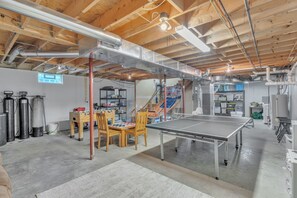 Game room - Dog friendly Retreat on 6 Private Acres in the Finger Lakes Region  (Springwater)
