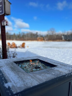 Property grounds - Dog friendly Retreat on 6 Private Acres in the Finger Lakes Region  (Springwater)
