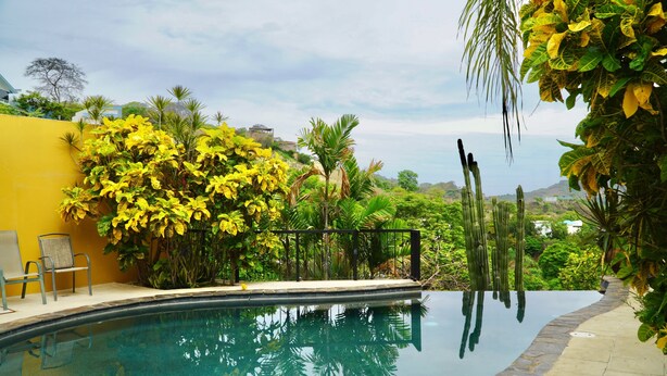 A swimming pool with a stone edge, surrounded by lush greenery and yellow flowering plants. - Amazing Ocean View atop Coco Cliffs (Playa del Coco)