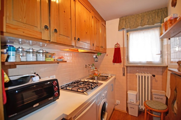 Fridge, stovetop, cookware/dishes/utensils