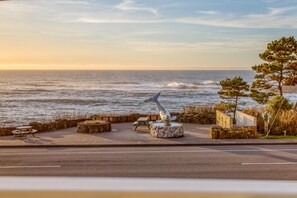 Beach/ocean view