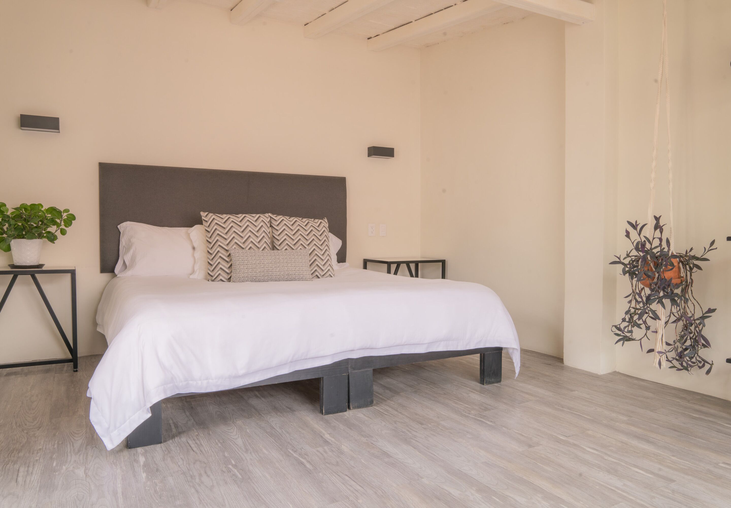 A bedroom with a bed, a bedside table with a plant, and a wall-mounted artwork.