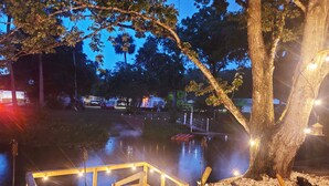 Un'area esterna illuminata di notte, con un molo di legno, una piccola barca e un albero decorato con luci.
