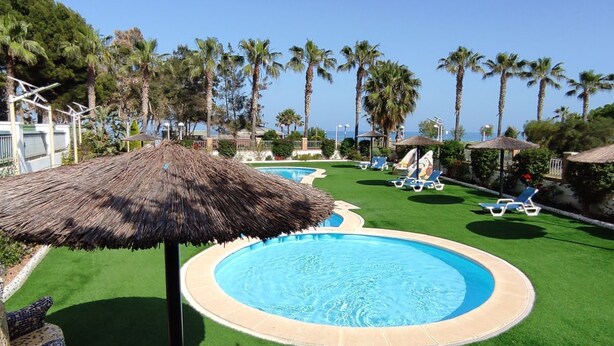 Zona de piscina con palmeras, sillas de descanso y una sombrilla de paja.