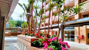 Un edificio de varios pisos con balcones, un paseo techado y un parterre con flores rosadas.