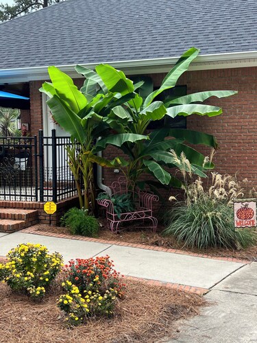 Pool-Side Paradise (Pool is for ambience only-NO SWIMMING FOR GUESTS)