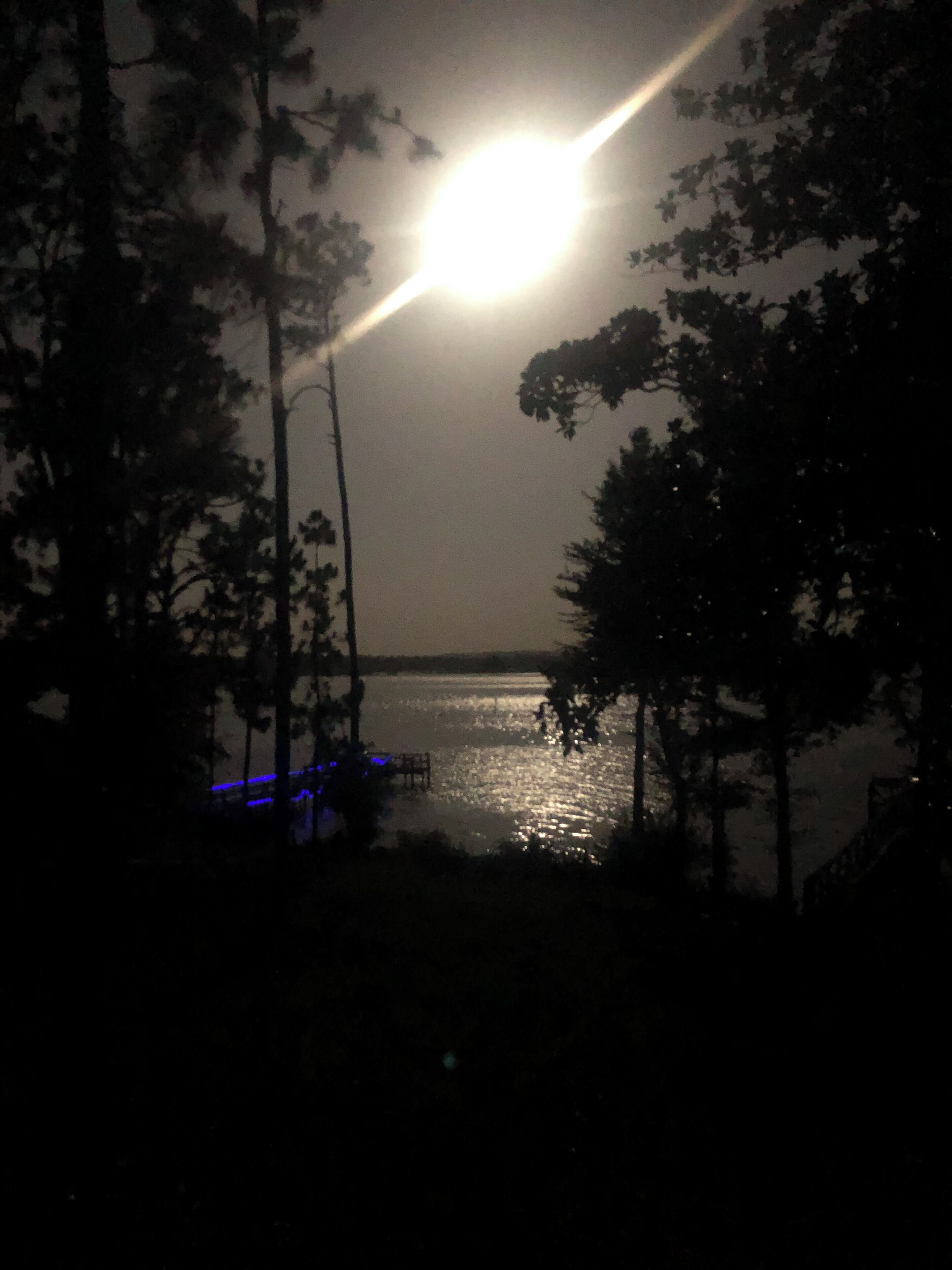 A nighttime view of a lake with trees and a dock.