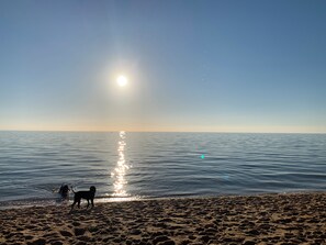 Beach towels - Relaxed Retreat - hot plunge pool, wood fire, pet friendly, 4pm Sun checkout. (Mount Martha)