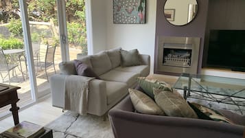 Smart TV, fireplace, books, computer monitors